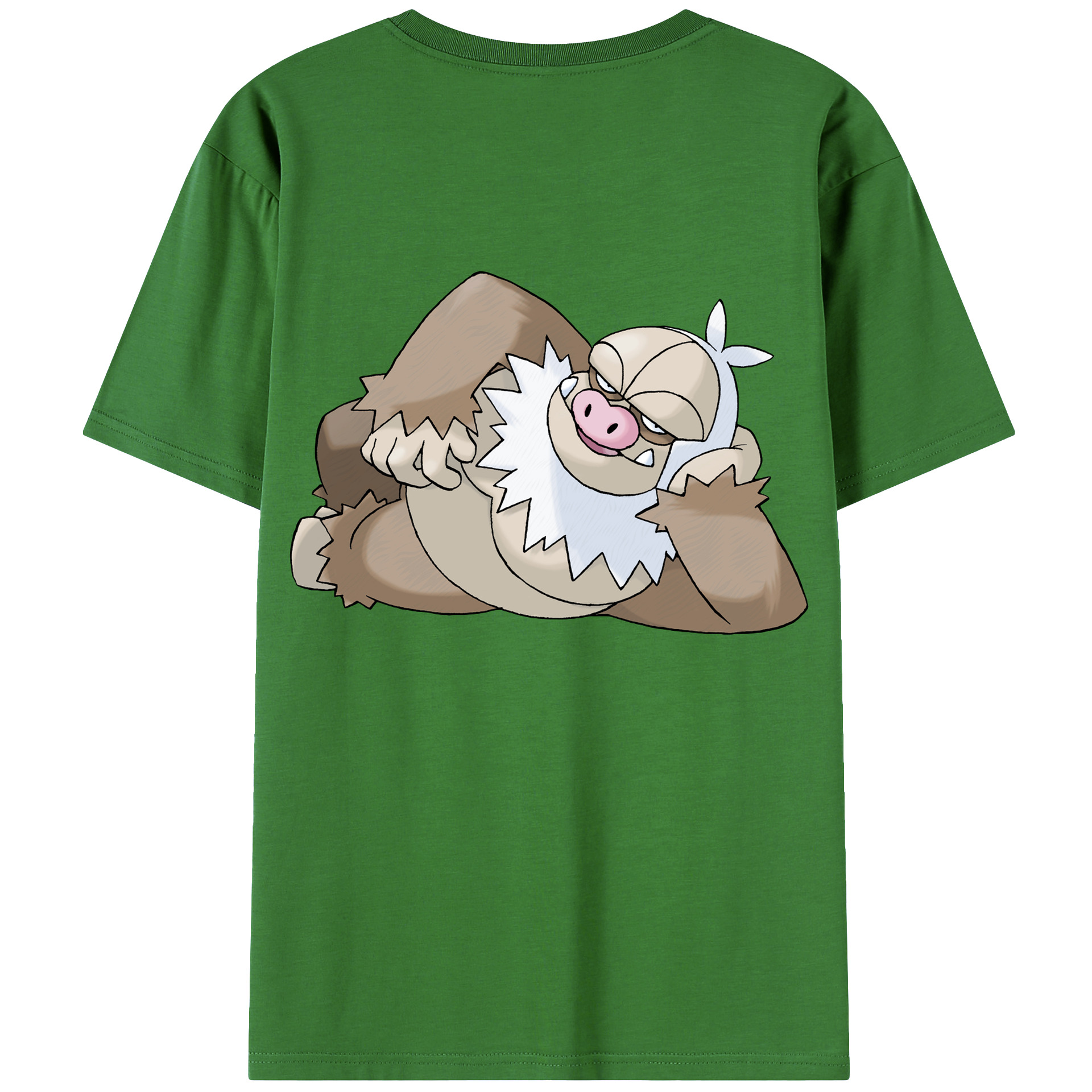 （画像用） ポケットモンスター Pokémon レディース半袖Tシャツ(バックプリント)